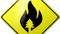 Wildfire warning sign with tree symbol.